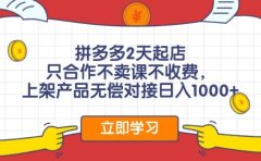 拼多多2天起店，只合作不卖课不收费，上架产品无偿对接日入1000+