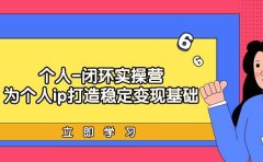 个人-闭环实操营:为个人ip打造稳定变现基础,从价值定位/爆款打造/产品...