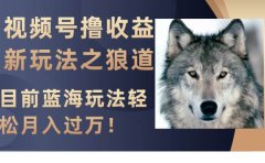 视频号撸收益新玩法之狼道,目前蓝海玩法轻松月入过万!