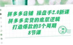 拼多多店铺 操盘手2.0新课,拼多多卖货的底层逻辑,打造爆款的3个周期-8节