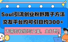 Soul引流创业粉野路子方法，交友平台均可引日均300+，无需剪视频写文案...
