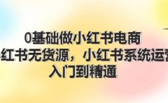 0基础做小红书电商，小红书无货源，小红书系统运营，入门到精通 (70节)