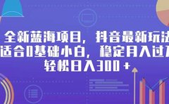 全新蓝海项目,抖音最新玩法,适合0基础小白,稳定月入过万,轻松日入300+