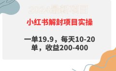小红书解封项目: 一单19.9,每天10-20单,收益200-400