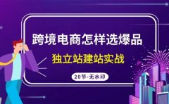 跨境电商怎样选爆品,独立站建站实战(20节高清无水印课)