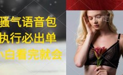 执行就出单,日入2000+,超火骚气语音包,小白看完课程就能马上实操