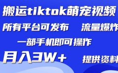 搬运Tiktok萌宠类视频,一部手机即可。所有短视频平台均可操作,月入3W+
