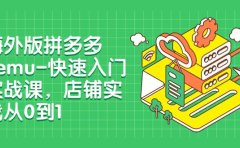 海外版拼多多Temu-快速入门实战课,店铺实战从0到1(12节课)