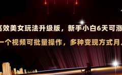 AI原创美女玩法升级版 新手6天涨万粉 5分钟制作视频可批量,多种变现月入3w