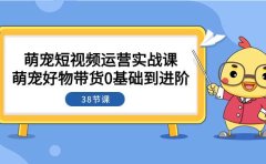 萌宠·短视频运营实战课：萌宠好物带货0基础到进阶（38节课）