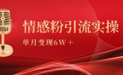 单月变现6w+,情感粉引流变现实操课