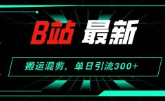 B站最新，搬运混剪，单日引流300+创业粉