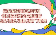 拼多多培训班第34期:做高价女装必盈利剖析 选品/测款/运营/推广/拓展
