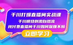 千川-打爆直播间实战课：千川顺烧刺激自然流 纯付费直播间千川如何保赚不赔