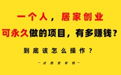 一个人，居家创业：B站每天10分钟，单账号日引创业粉100+，月稳定变现5W...