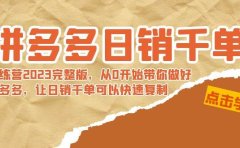 拼多多日销千单训练营2023完 拼多多日销千单训练营2023完整版,从0开始带你做好拼多多,让日销千单可以快速复制
