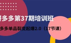拼多多第37期培训班:拼多多单品裂变起爆2.0(17节课)