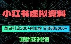 小红书虚拟资料日引流200+创业粉，单日变现5000+