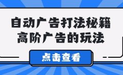 A lice自动广告打法秘籍,高阶广告的玩法