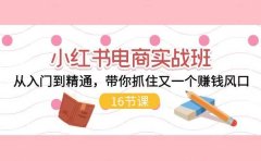 小红书电商实战班，从入门到精通，带你抓住又一个赚钱风口（16节）