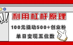 利用杠杆100元撬动500+创业粉，单日变现5位数