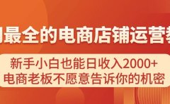 电商店铺运营教学，新手小白也能日收入2000+，电商老板不愿意告诉你的机密