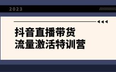 抖音直播带货-流量激活特训营，入行新手小白主播必学（21节课+资料）