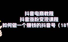 抖音电商教程：抖音涨粉变现课程：如何做一个赚钱的抖音号（18节）