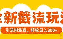 全新截流玩法，精准引流创业粉，轻松日入300+