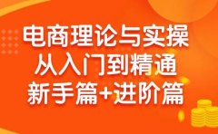 电商理论与实操从入门到精通 新手篇+进阶篇