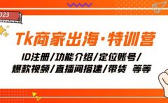 Tk商家出海·特训营:ID注册/功能介绍/定位账号/爆款视频/直播间搭建/带货