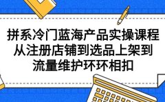 拼系冷门蓝海产品实操课程,从注册店铺到选品上架到流量维护环环相扣