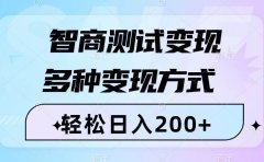 智商测试变现,轻松日入200+,几分钟一个视频,多种变现方式(附780G素材)