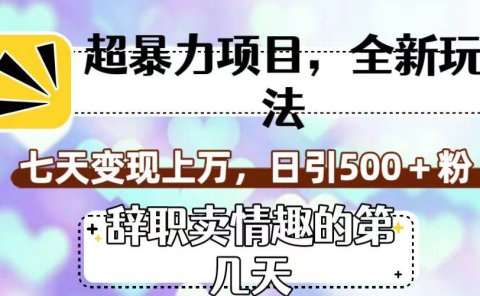 超暴利项目,全新玩法(辞职卖情趣的第几天),七天变现上万,日引500+粉