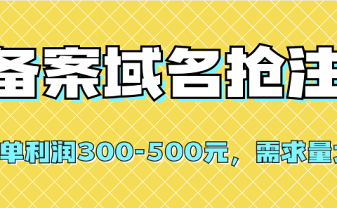 【全网首发】备案域名抢注,一单利润300-500元,需求量大