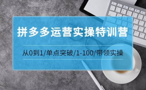 拼多多运营实操特训营：从0到1/单点突破/1-100/带领实操 价值2980元