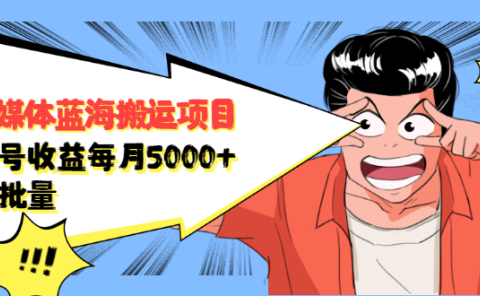 自媒体蓝海搬运项目，价值680元