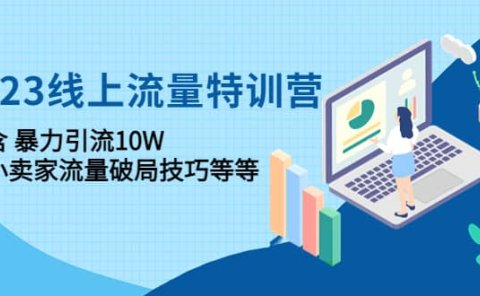 2023线上流量特训营：中小卖家流量破局技巧等等