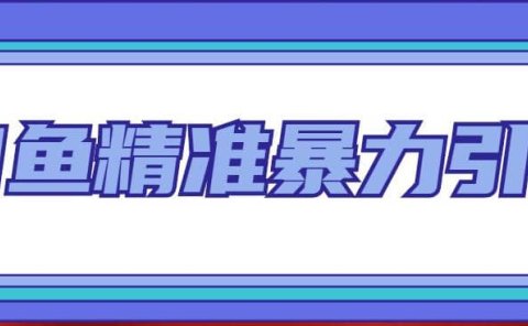 闲鱼精准暴力引流全系列课程,每天被动精准引流200+客源技术(8节视频课)