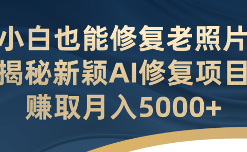 小白也能修复老照片!揭秘新颖AI修复项目,赚取月入5000+