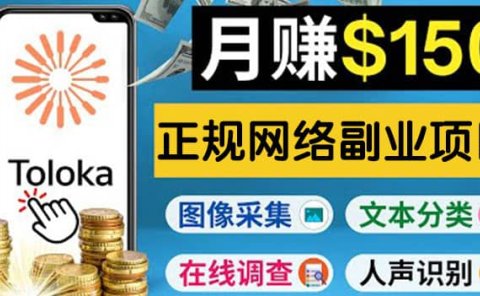 正规网络副业赚钱平台Toloka，利用业余时间月赚150美元