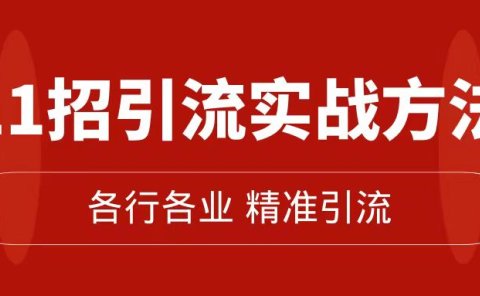 精准引流术:11招引流实战方法,让你私域流量加到爆(11节课完整版)