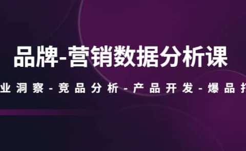 品牌-营销数据分析课，行业洞察-竞品分析-产品开发-爆品打造