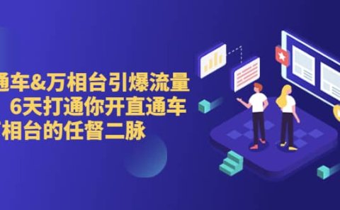 直通车+万相台引爆流量班,6天打通你开直通车·万相台的任督 二脉