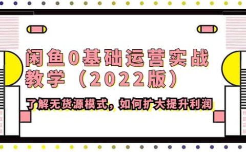 闲鱼0基础运营实战教学（2022版）了解无货源模式，如何扩大提升利润