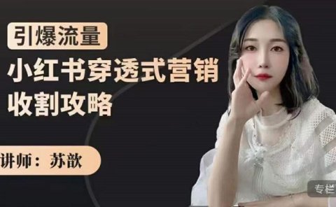 小红书穿透式营销收割攻略，引爆流量，助你玩转小红书