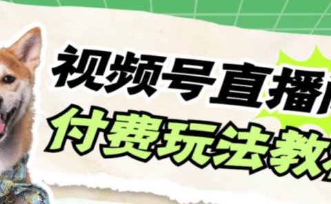 视频号美女付费无人直播,轻松日入500+【详细玩