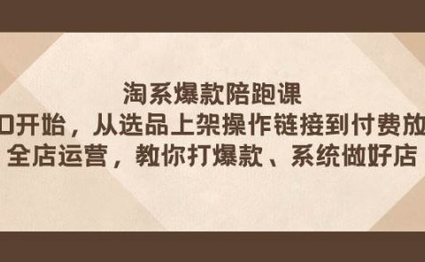 淘系爆款陪跑课 从选品上架操作链接到付费放大 全店运营 打爆款 系统做好店