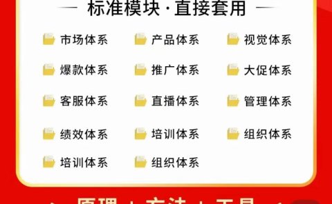 外面卖198·电商企业经营管理工具：全套执行落地方案 标准模块·直接套用
