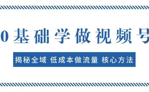 0基础学做视频号：揭秘全域 低成本做流量 核心方法  快速出爆款 轻松变现
